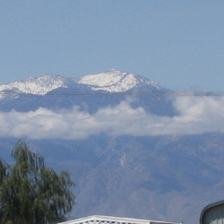 Palm Springs 2006