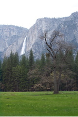 Yosemite_0829