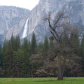 Yosemite_0829