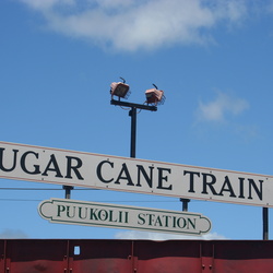 Sugar Cane Train