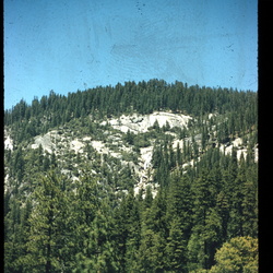 73 Gloria Yosemite