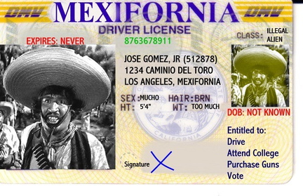mexifornia_license