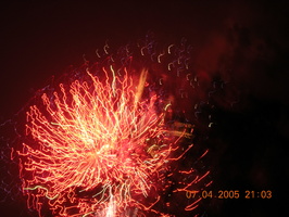 Amy's Photos