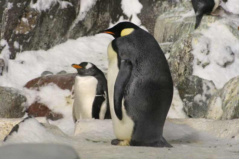 Funny how so many of them either don't want their picture taken, or prefer their left profile