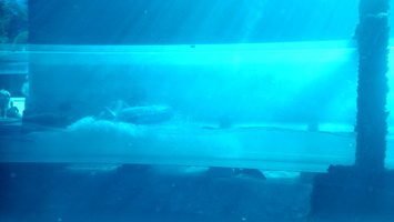 IMG 20140403 170307 466