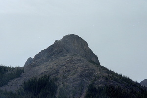 IMG008_004