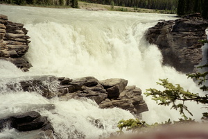 IMG012_003