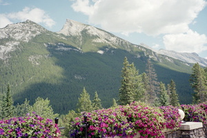 IMG014_004