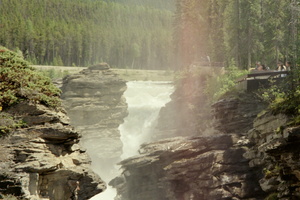 IMG017_003