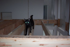 res1029