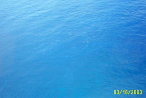 res3419
