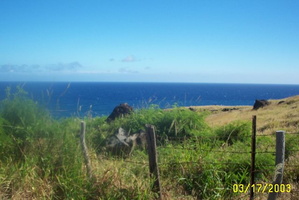 res3434
