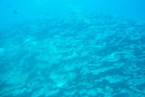 res3441