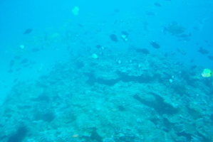res3443