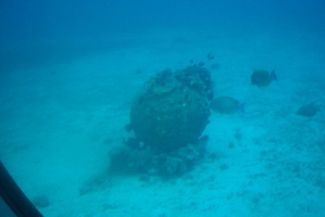 res3444
