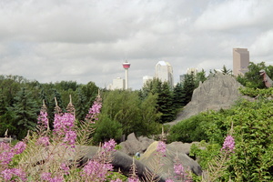 IMG003.JPG