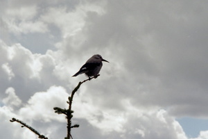 IMG020.JPG