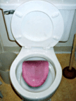 toiletpaper